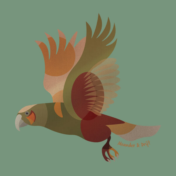 KĀKĀ FLIGHT      Thumbnail