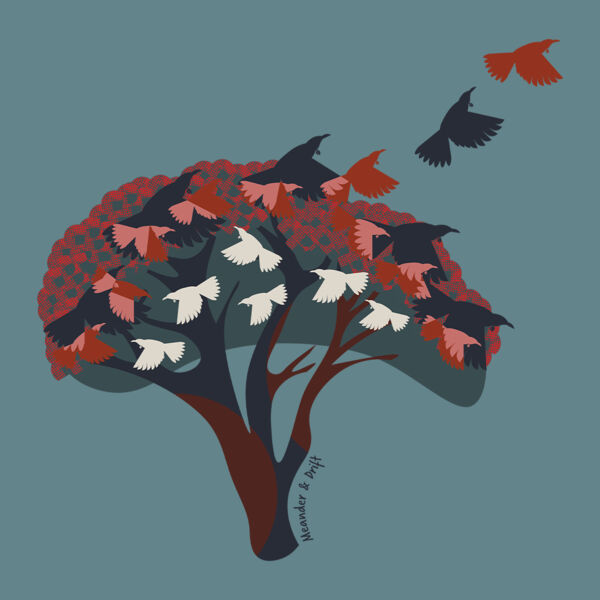 TŪĪ  SWOOP  Thumbnail