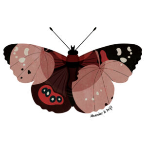 KAHUKURA & KAWAKAWA - Youth Staple L/S Tee Design