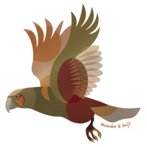 KĀKĀ FLIGHT  - Kids Staple L/S Tee Design